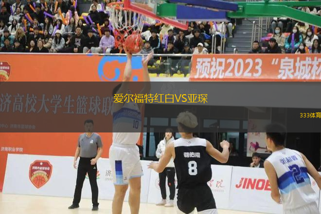 爱尔福特红白VS亚琛