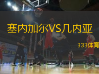 塞内加尔VS几内亚