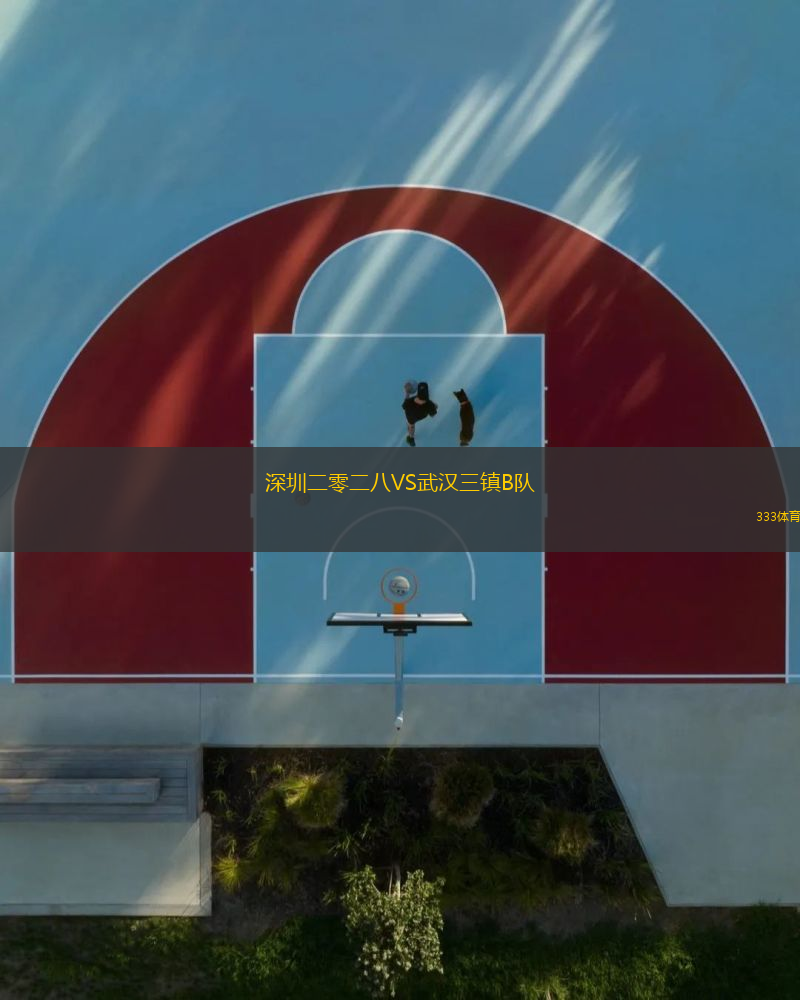 深圳二零二八VS武汉三镇B队