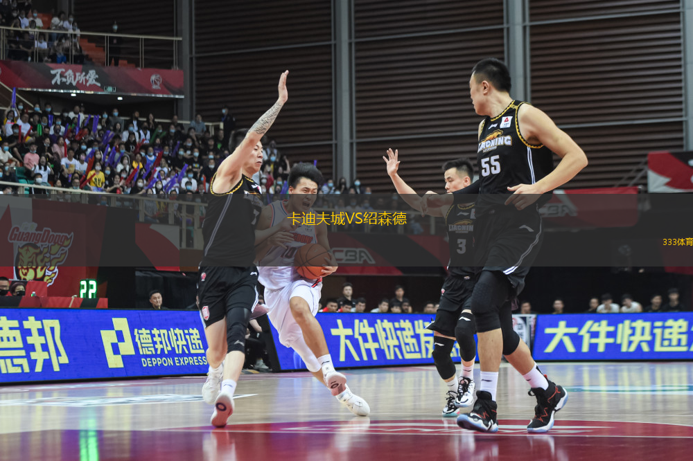 卡迪夫城VS绍森德
