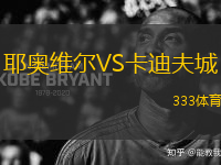 耶奥维尔VS卡迪夫城