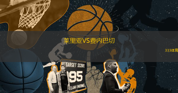 莱里亚VS费内巴切