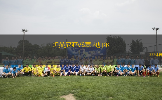 坦桑尼亚VS塞内加尔