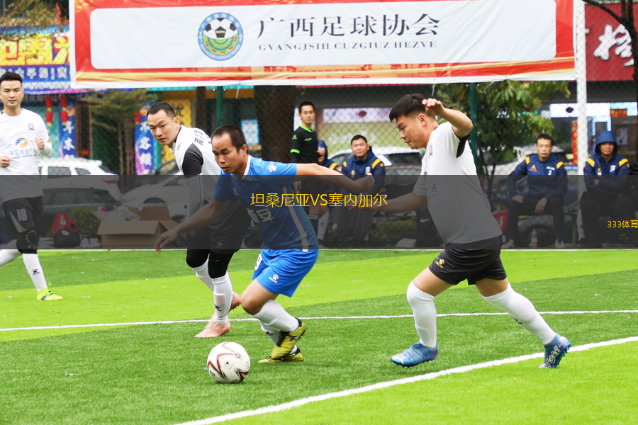 坦桑尼亚VS塞内加尔