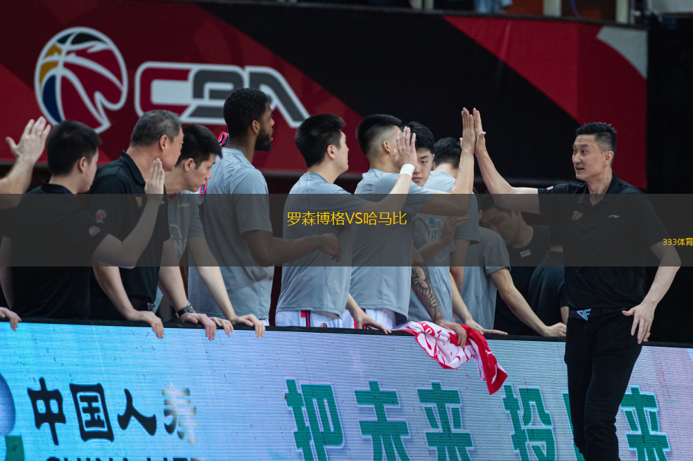 罗森博格VS哈马比