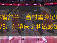 吉林省舒兰二合村雪乡足球队VS广东肇庆金利诚峻足球队