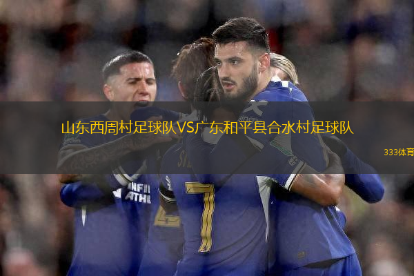 山东西周村足球队VS广东和平县合水村足球队