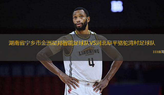 湖南省宁乡市金洲星邦智能足球队VS河北阜平骆驼湾村足球队